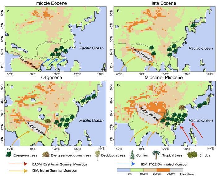 Heterogeneous occurrence of EBLFs in East Asia during the Cenozoic. The earliest occurrence was in southern China during the middle Eocene (A), followed by southwestern China in the late Eocene–early Oligocene (B, C), then Japan in the early Oligocene(C), and finally central-eastern China during the Miocene (D). The precipitation of wettest quarter (PWetQ) exceeding 600 mm may play a critical role in the occurrence of EBLFs (grey contours).